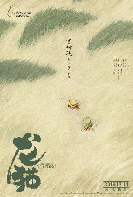 南萨哈林斯克经济法学与资讯学院 Physics degree